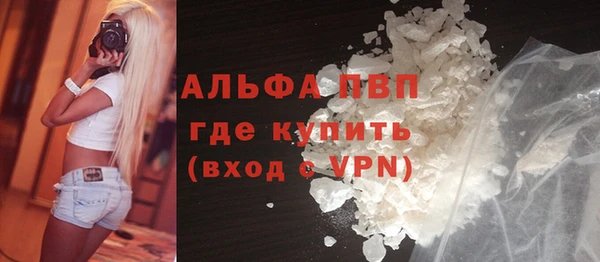 spice Богородск