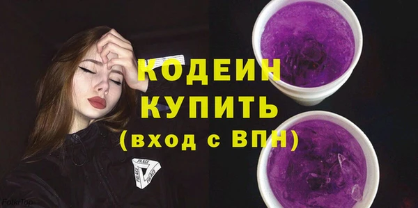 шишки Богородицк