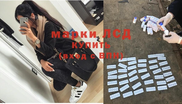 шишки Богородицк
