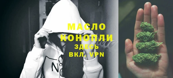 spice Богородск