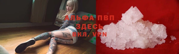 шишки Богородицк
