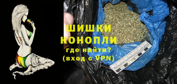 шишки Богородицк