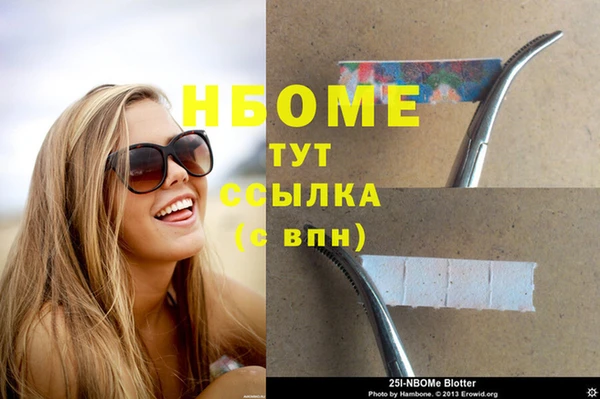 шишки Богородицк