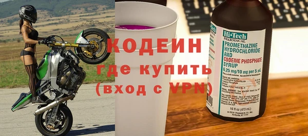 шишки Богородицк