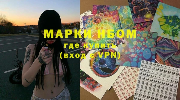 шишки Богородицк