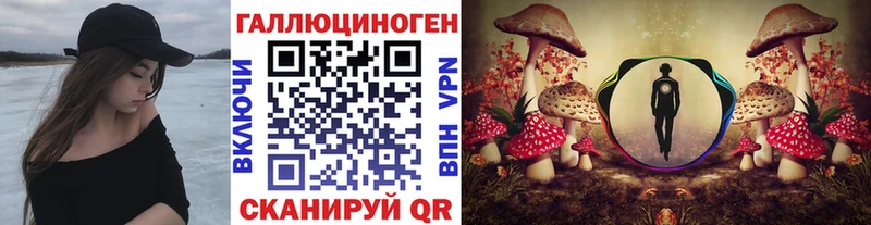 Псилоцибиновые грибы Psilocybine cubensis  Купить  Вытегра 