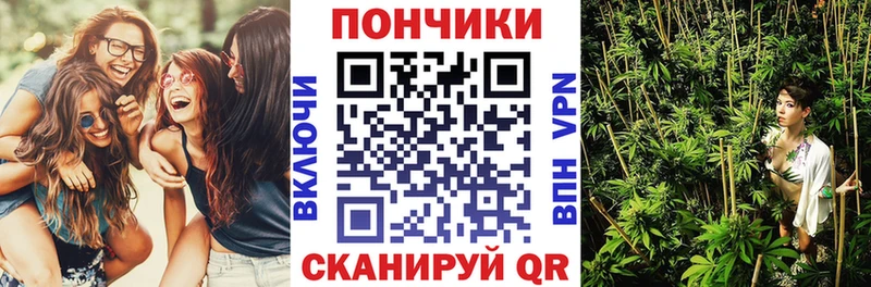 Конопля THC 21%  Купить закладки  Вытегра 